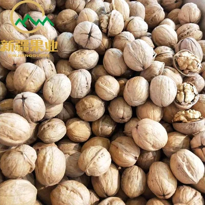 xinjiang dry fruit sns-33 xine walnut export