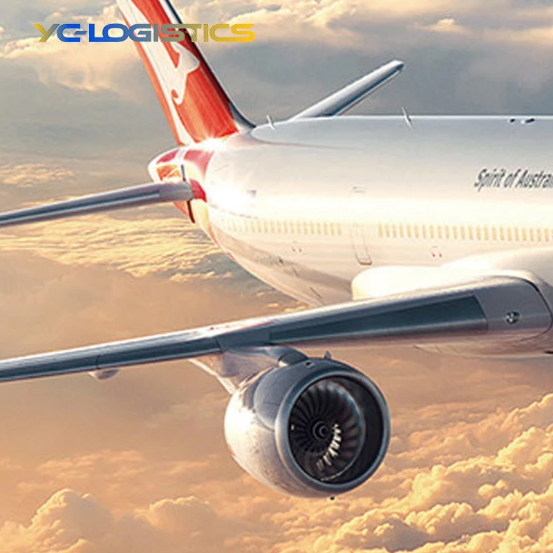 International Shipping & Cargo Agent: Expert Freight Forwarding from China to USA with DDP Services