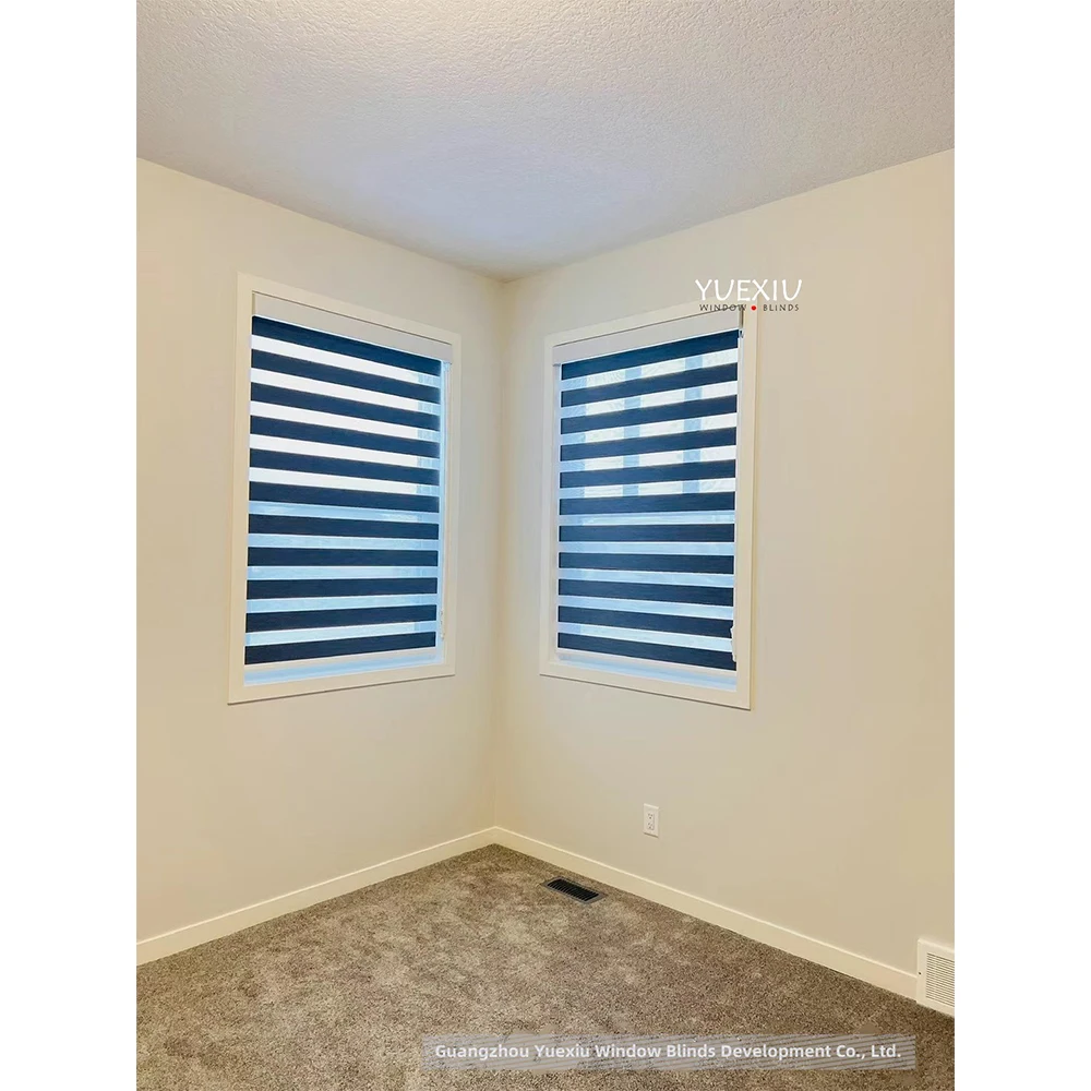 Factory Supply High Quality Roller Blinds Installation Manual Curtains Screen For Living Room Window Zebra Blinds