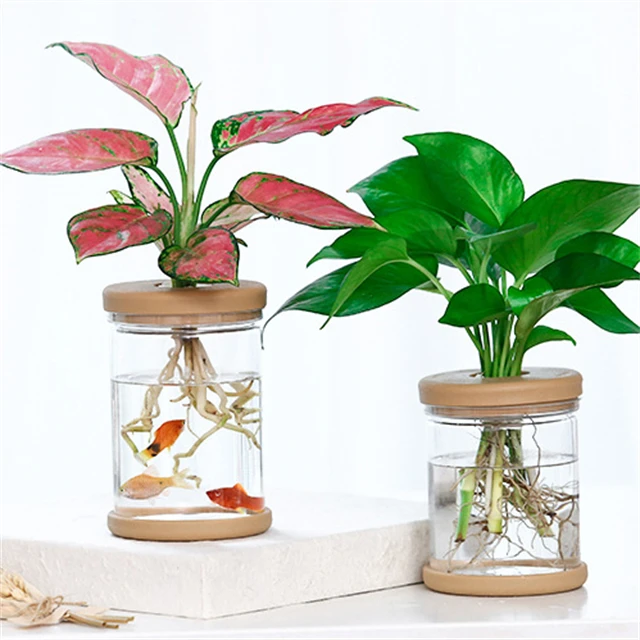J823 Home Office Automatic Water Absorption Transparent Green Plant Flowerpots Plastic Visible Hydroponic Flower Pot
