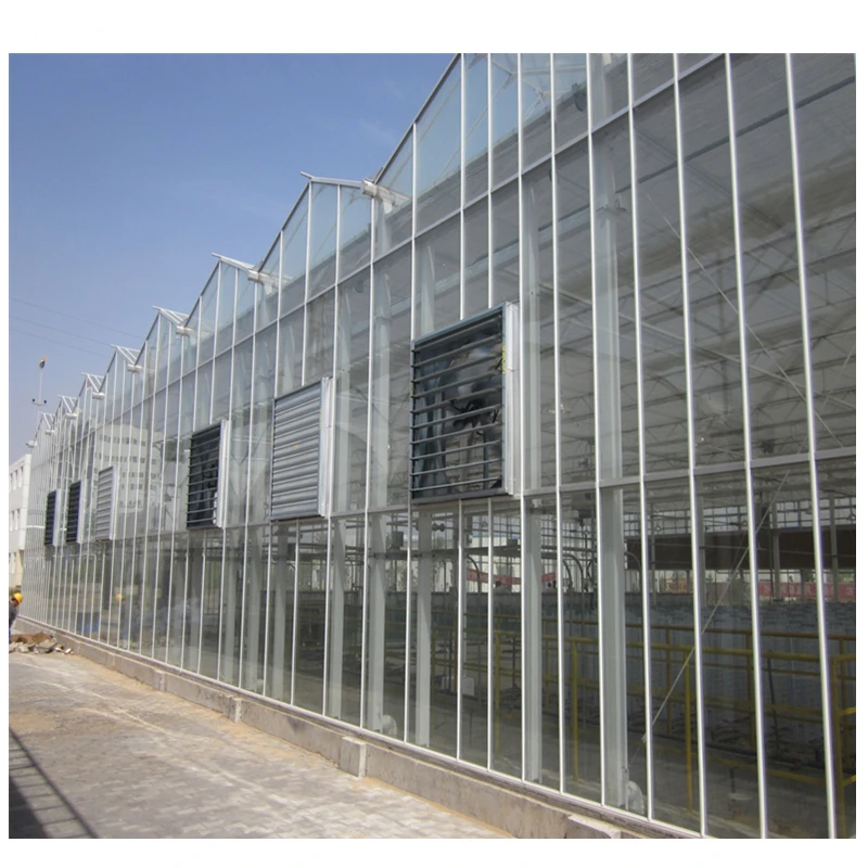 Complete Glass Agricultural Commercial Greenhouse Turnkey Project with Quick Construction