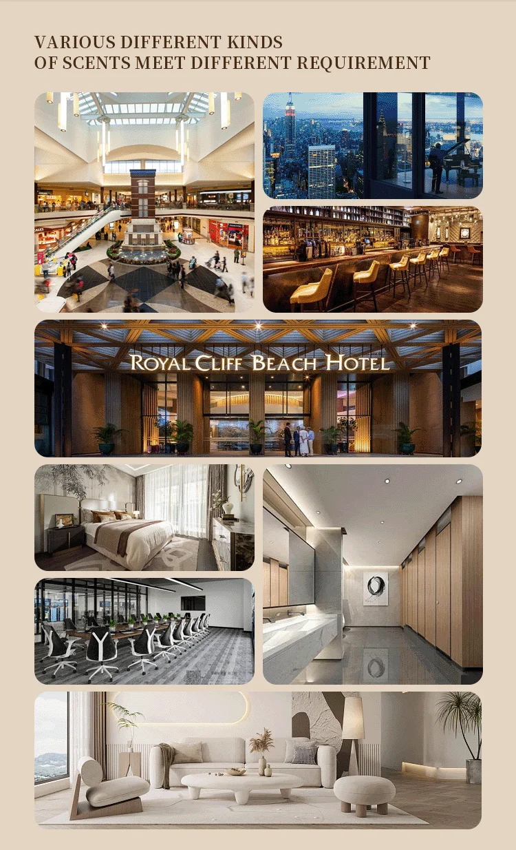 Tang Mei hotel эфирное масло травяной аромат цветочные и фруктовые эфирные масла