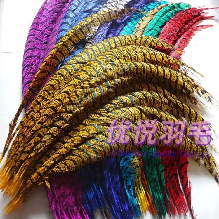 wholesale Top Quality  lady zebra pheasant ringneck reeves  tail feather  for Carnival samba decoration