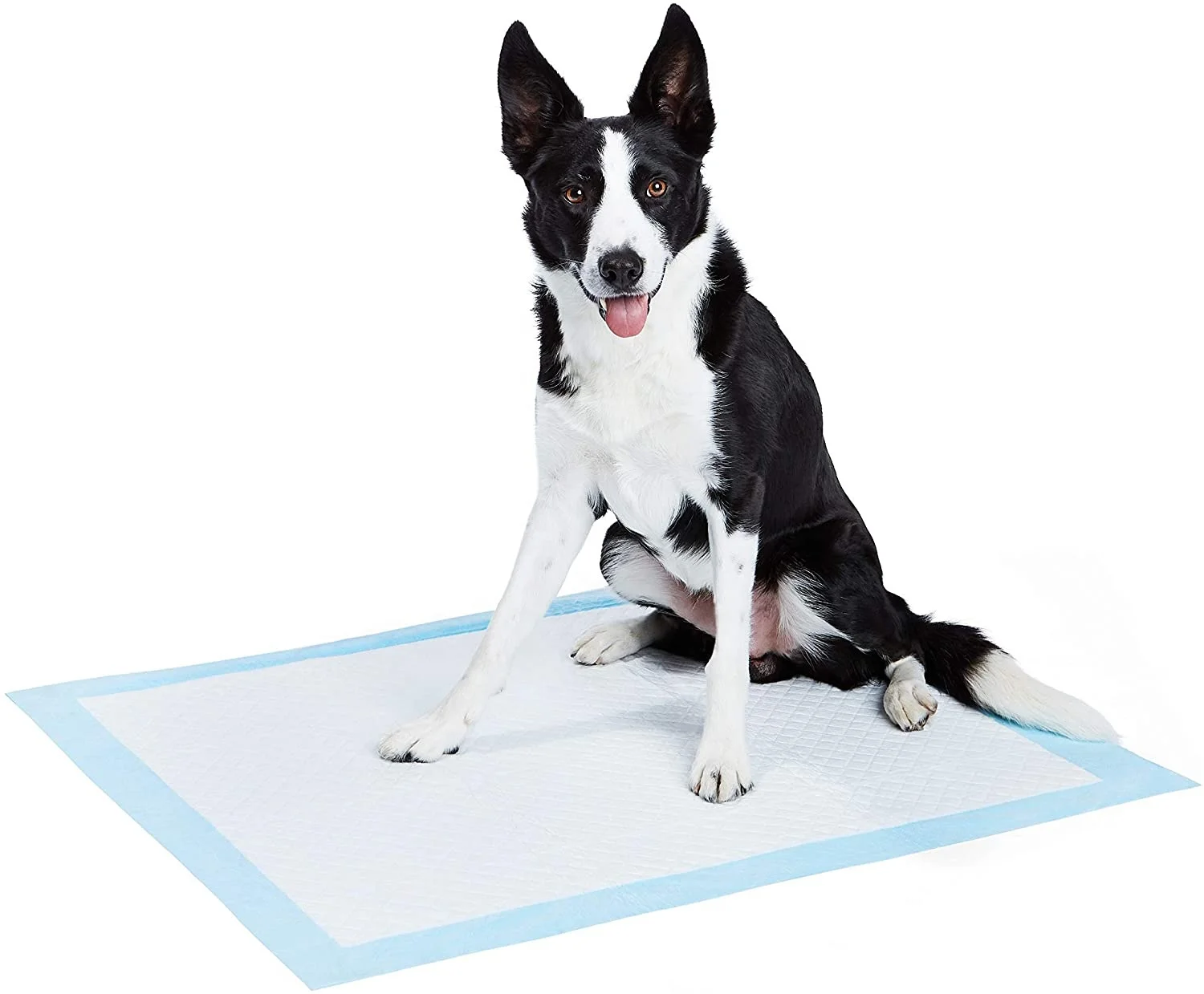 Amazon Basics Dog and Puppy Pads Disposable Pet Potty Pad Absorbent Quick-dry Surface for