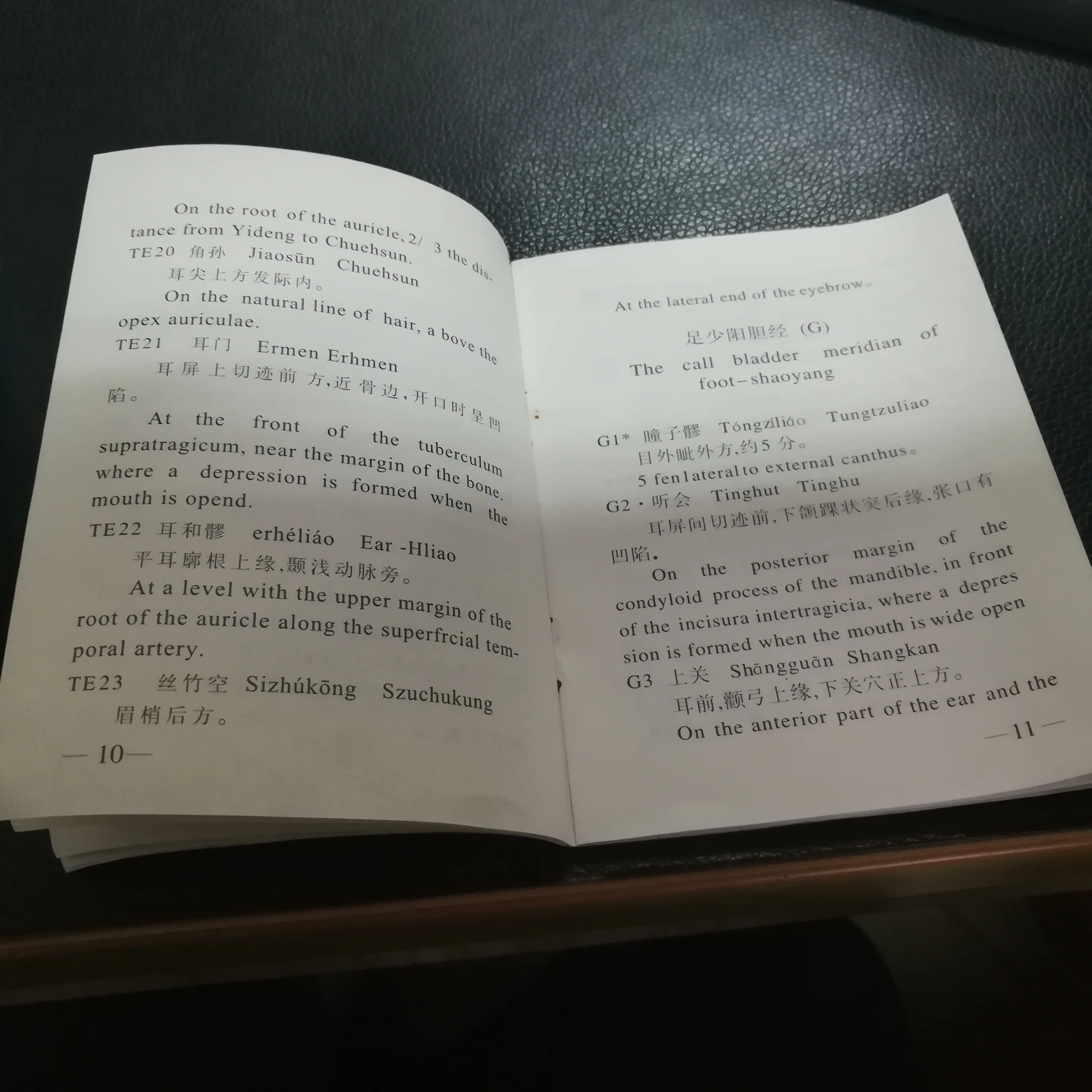 Eco-friendly PVC Medical Teaching Model 20cm Human Head Acupuncture Model