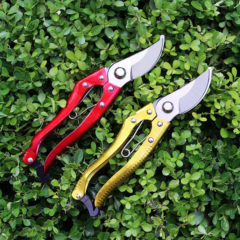 
Professional Garden Pruner Shear garden shears tools  (1600267871632)