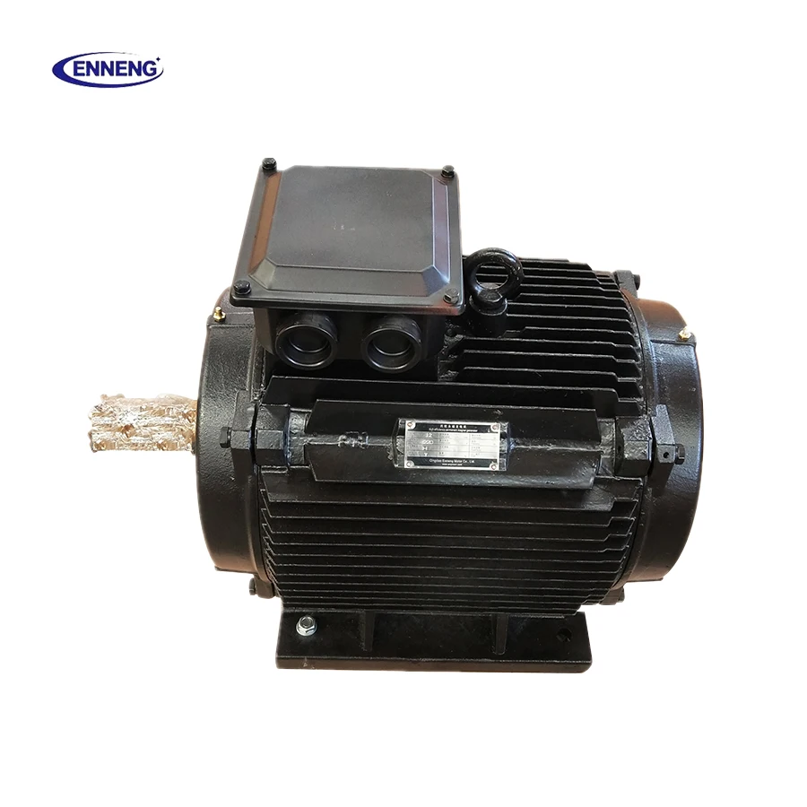 10kw 150rpm Wind Turbine Generator/Alternator Permanent Magnet Generator With Low Rpm For Sale