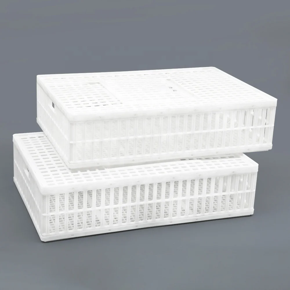 Good design nice appearance 900*600*230 mm sturdy plastic live bird shipping box / pigeons carrier crate