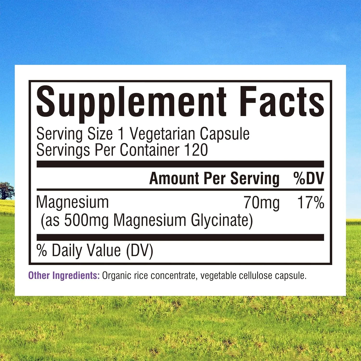 OEM Label Magnesium Capsules Boosts Brain Health Sleep Muscle Recovery Magnesium Glycinate Capsules