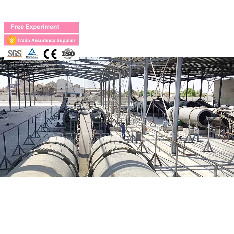 WINWORK DAP Fertilizer Rotary Drum Fertilizer Granular Production Line
