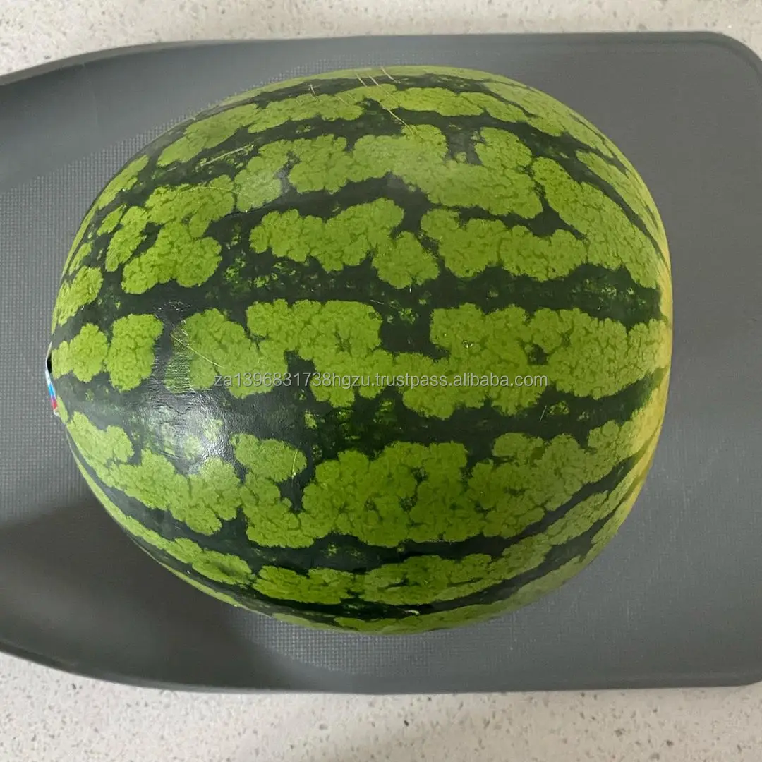 
Fresh Sweet Seedless Watermelon Seeded Watermelon 
