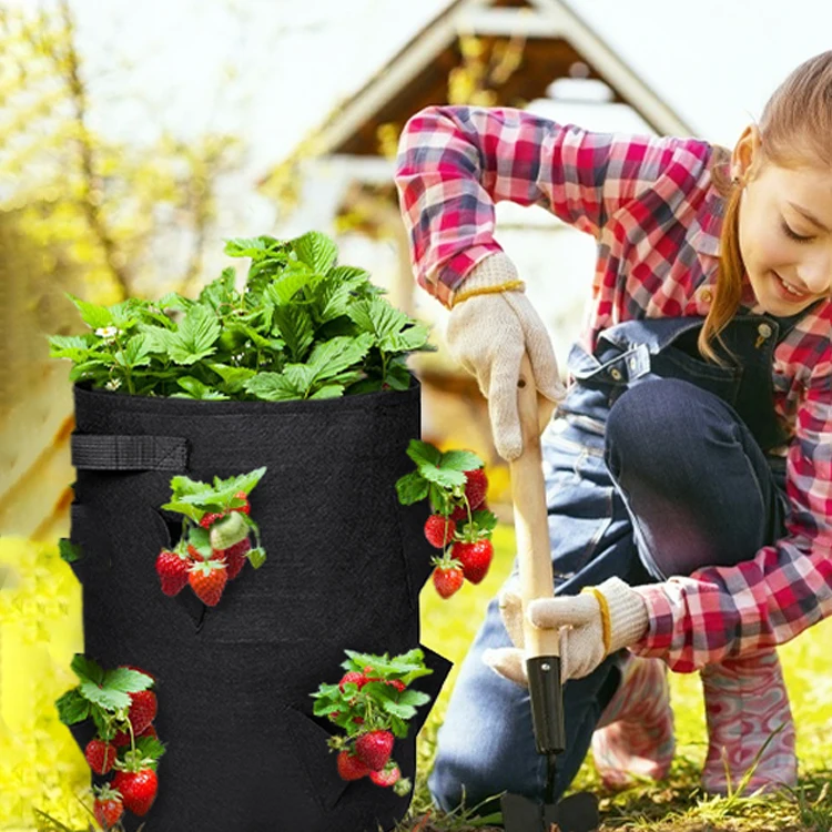 5 7 10 Gallon Vegetable Strawberry Potato Container Grow Bag Plant Nursery Pots