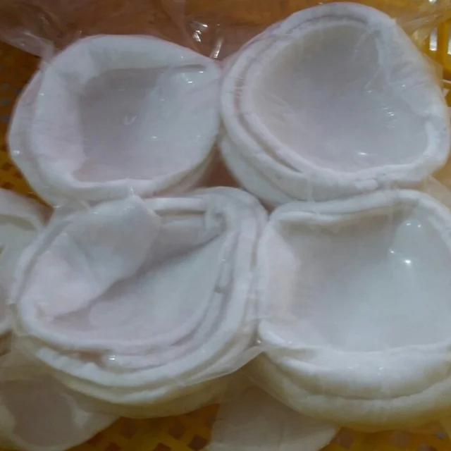 Замороженное кокосовое мясо-самая привлекательная цена от компании vietnam,