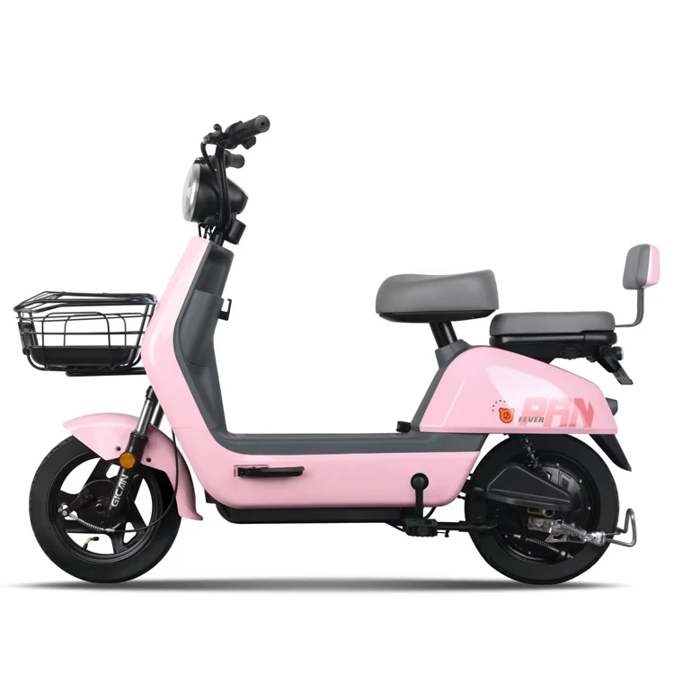 New Type 48V 350W Electric City Bike EV bike E Cycle Electric Bicycle without battery Carbon Steel lead acid Ebike