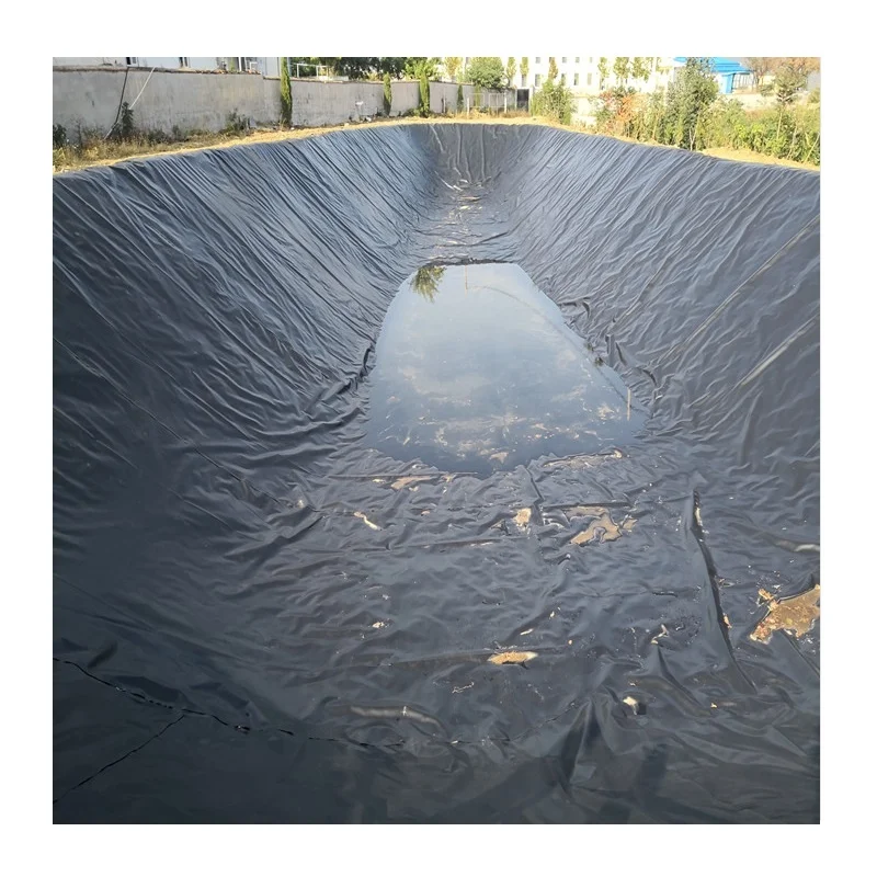 Black Green Blue Color Customized HDPE Geomembrane Pond Liner