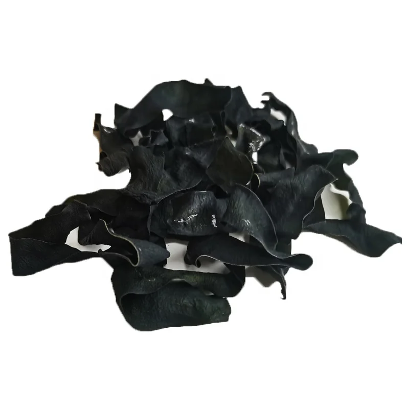 New arrival dried sea grape wakame seaweed for selling