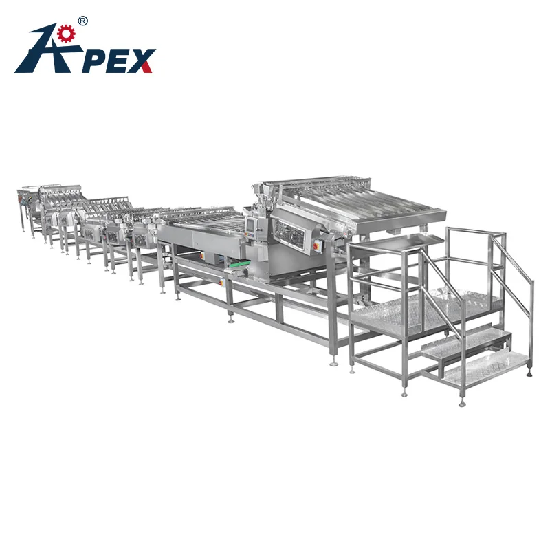 Nice Price Customized Control System Biscuit Bag Automatic Food Packing Machine