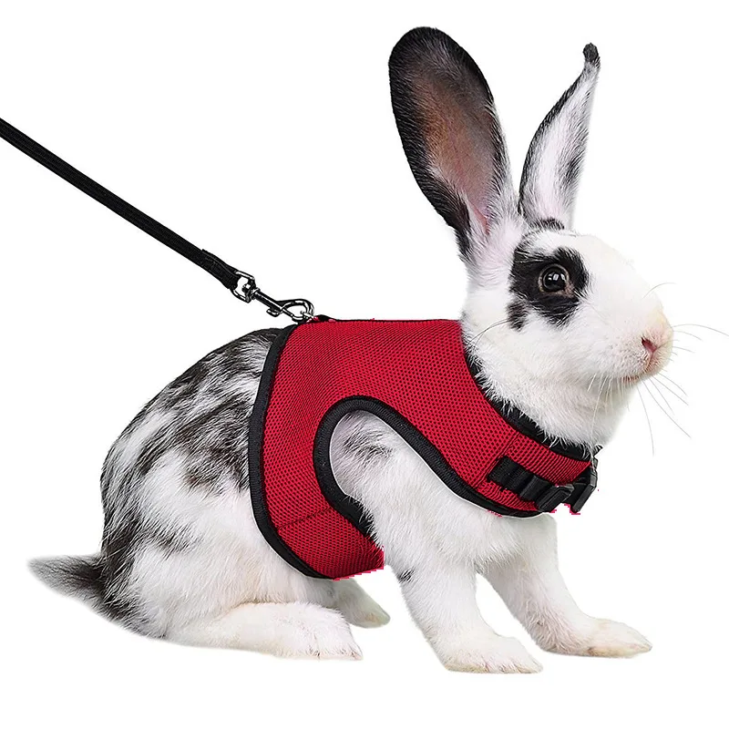 Specialized vest style rabbit lead set breathable pet harness for rabbit