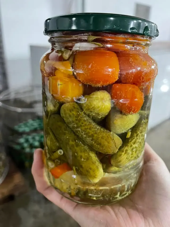 Производство качественных маринок сладко-кислый маринованный детский консервированный огурец в уксусе Whatsapp 0084 989 322 607