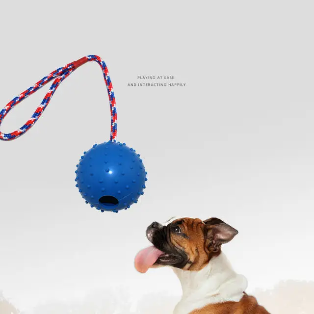 Pet Toys Rubber Prickly Ball with Rope Bite-resistant Interactive Toy Pet Reward Fetch Play K9 Training Tug of War