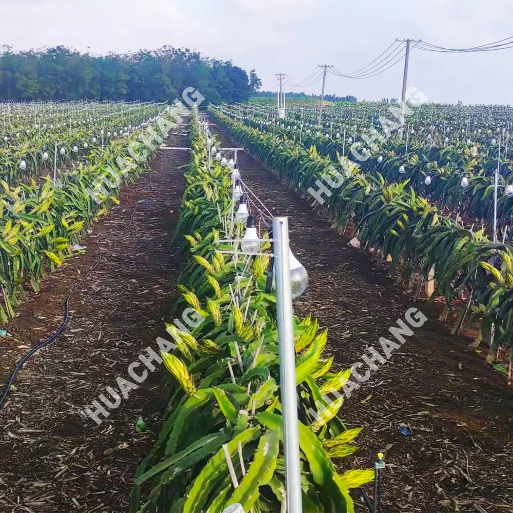 Dragon Fruit 12W Grow Light Full spectrum 15W Plant Bulb Guangdong Zhongshan Factory Wholesale LED plant growth lamp