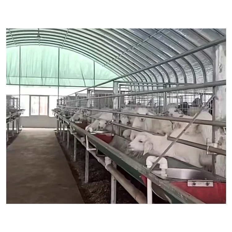 Сборный дешевый овчинный фермерский дом стальной Свиньи/коровы/крупного рогатого скота/молочная ферма конструкция для козьей