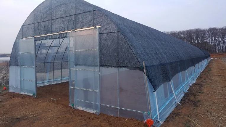 low tunnel greenhouse high strength commercial agricultural poly tunnel single-span green house tomato greenhouse For Sale