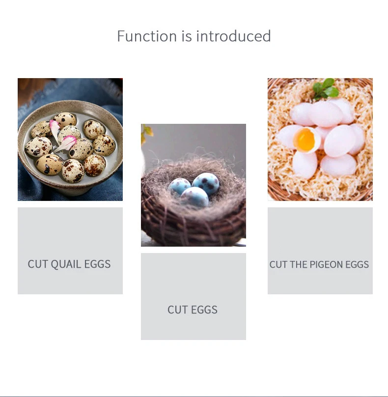 Quail Egg Scissors Stainless Steel Bird Egg Cutter Quail Egg Cutter Kitchen Scissors