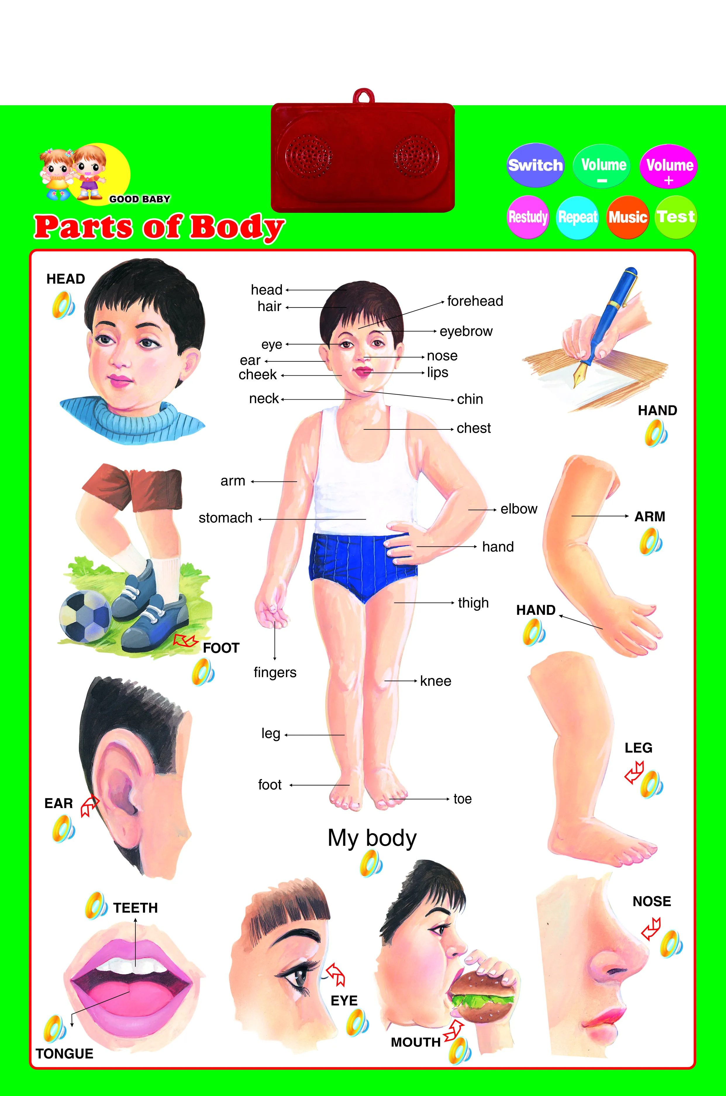 Educational kids learning charts kids toy talking wall chart