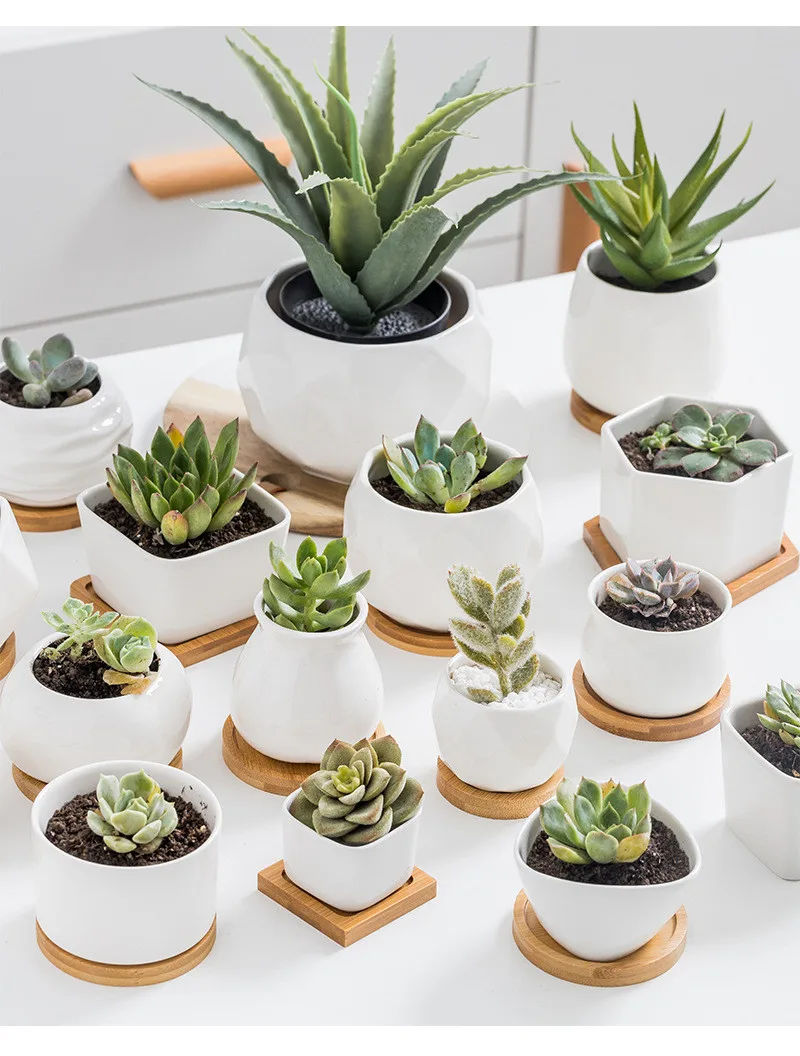 Multi Designs White Decorations For Home Decorative Pot Planter Garden Succulent Plants Ceramics Pot With Bamboo Tray