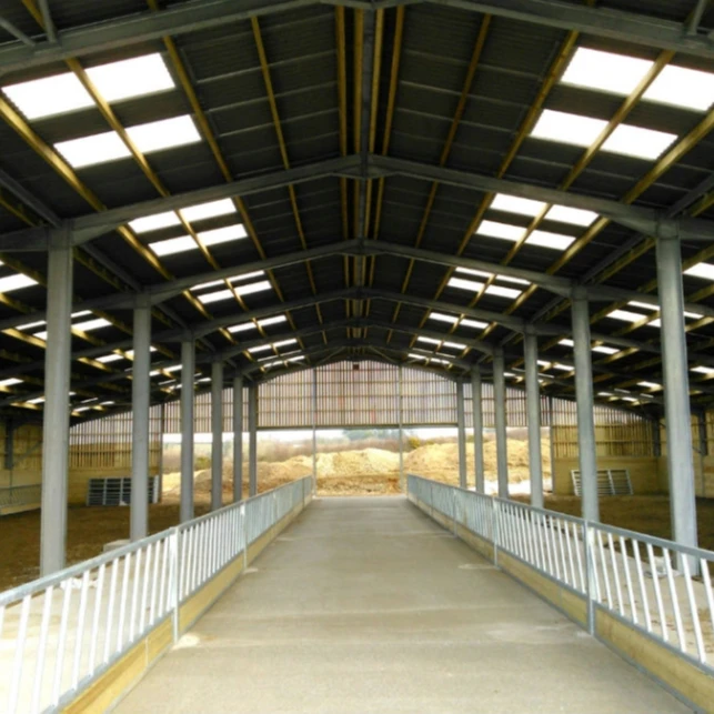 low price steel structure building warehouse construction