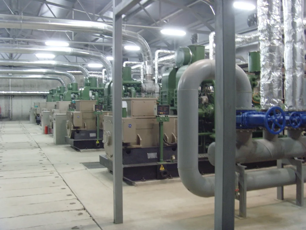 saw dust/cornstalk/straw/Saw dust gasifier, biomass Gasification Power plant