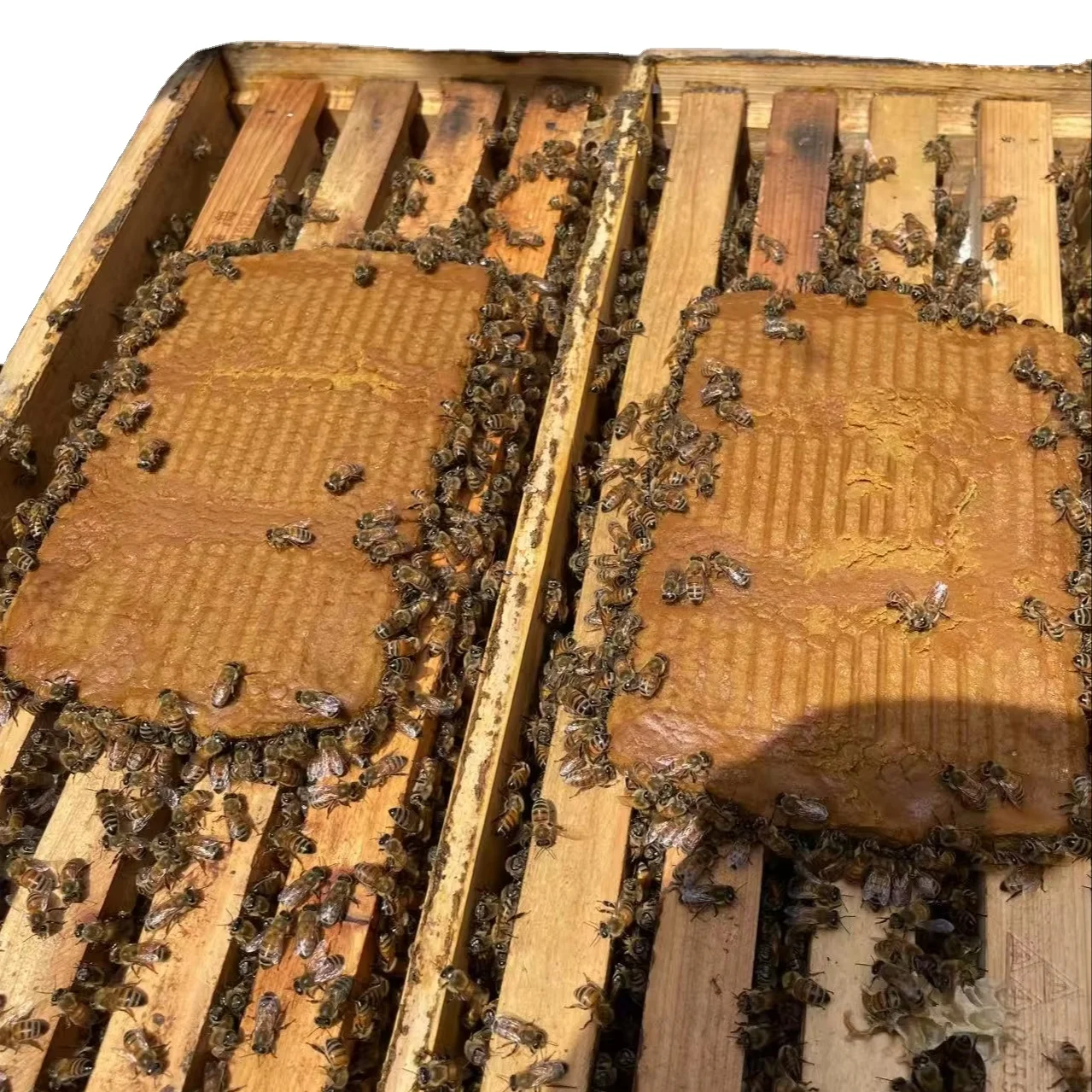 Высококачественный пчелиный корм премиум-класса с натуральным заменителем пыльцы производство из Китая