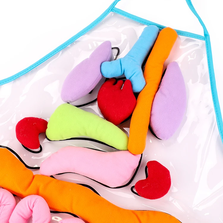 High Quality Customizable Colorful Montessori Sensorial Preschool Body Organ Teaching Aids Apron Kids Training Aids Baby Educati