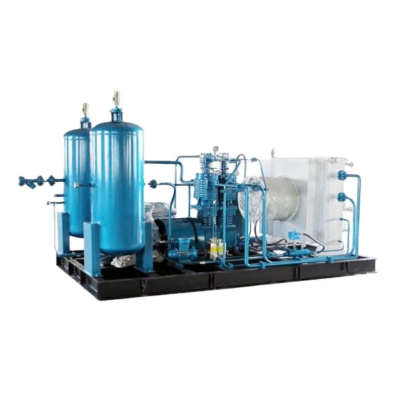 High Quality Oil-Free Piston Natural Gas co2 compressor Hydrogen Compressor biogas compressor for Industrial