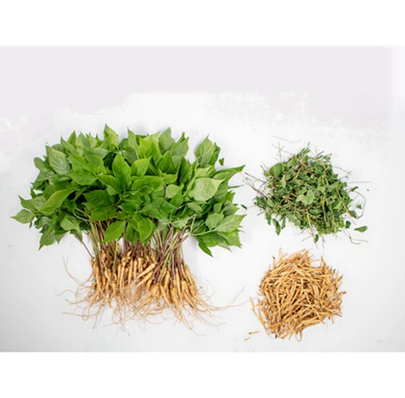 Экстракт корня женьшеня, порошок, органический порошок Panax, купить онлайн по лучшим ценам, экстракт женьшеня