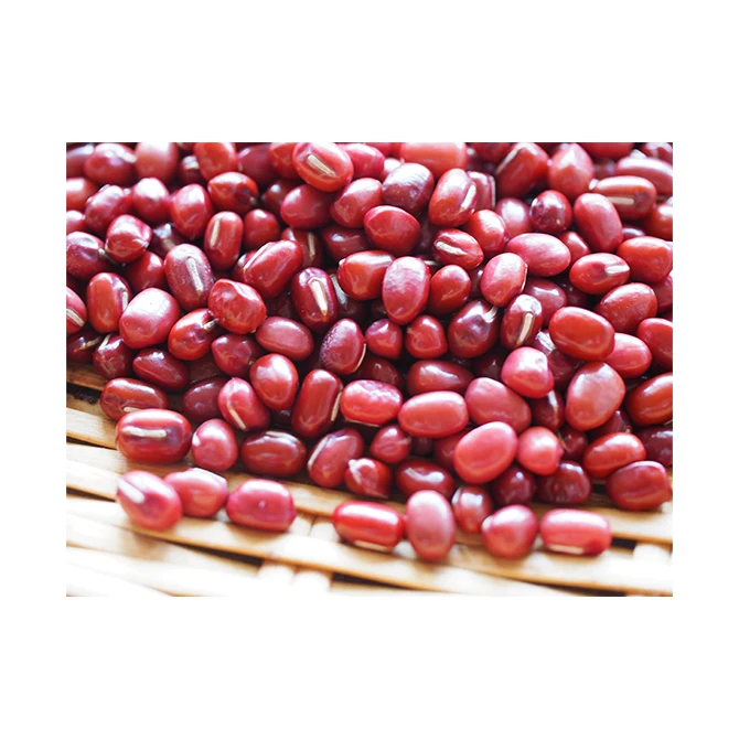 Small round red bean wholesale adzuki Softness of the skin after boiling