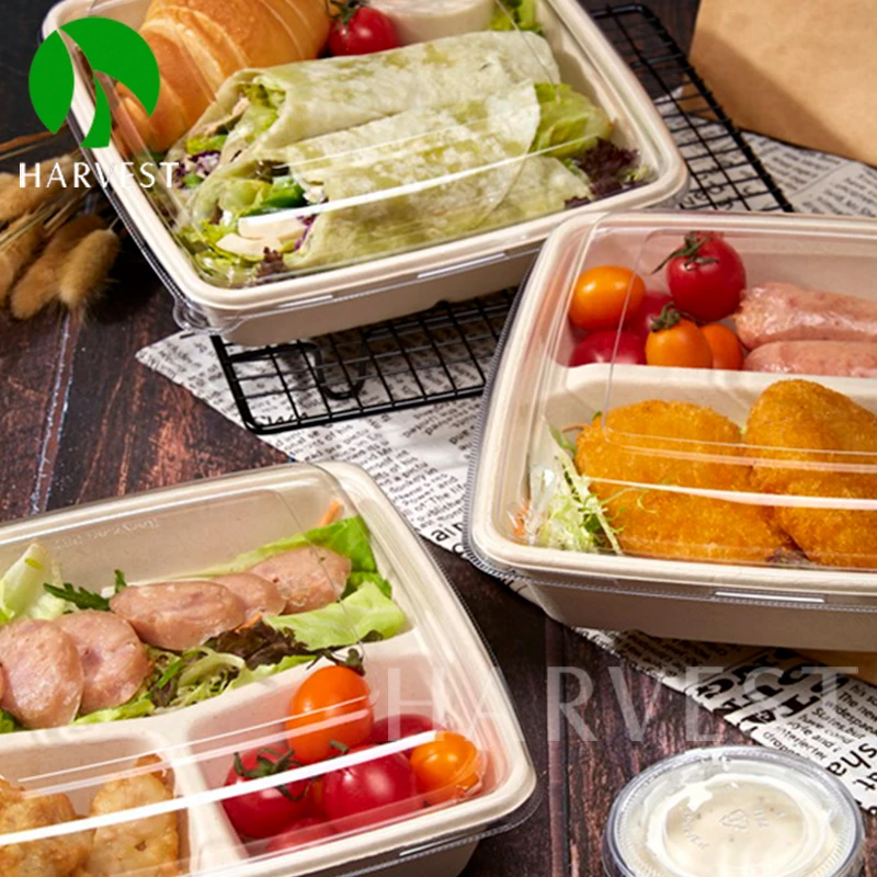 Bagasse 8x8 inch 2 Compartment Sugarcane Pulp Fiber Food Packaging Lunch Box Container With Lid