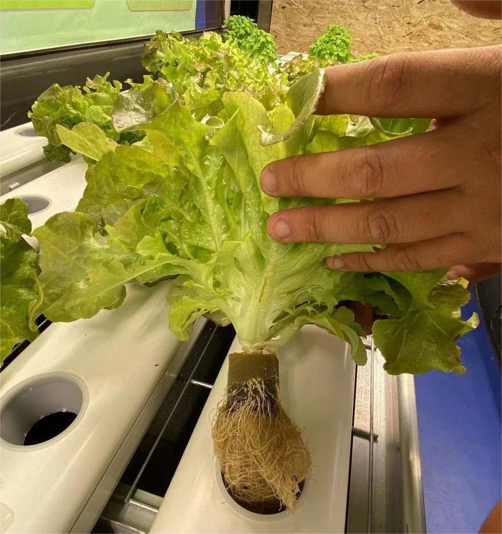 Smart low cost greenhouse vertical tower garden hydroponic grow systems