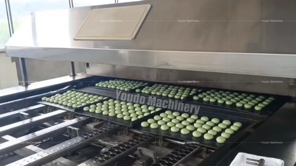 Gas Tunnel Oven with High Capacity of 200kg per hour Output and 10 to 15 cubic meters per hour Gas Consumption for Bakeries