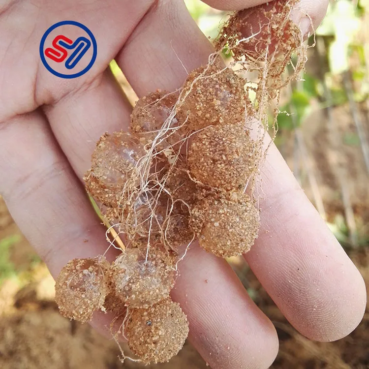 Hydrogel Powder de Potassium Polyacrylate Super Absorbent Polymer retainer water gel hydrogel for agriculture  plant