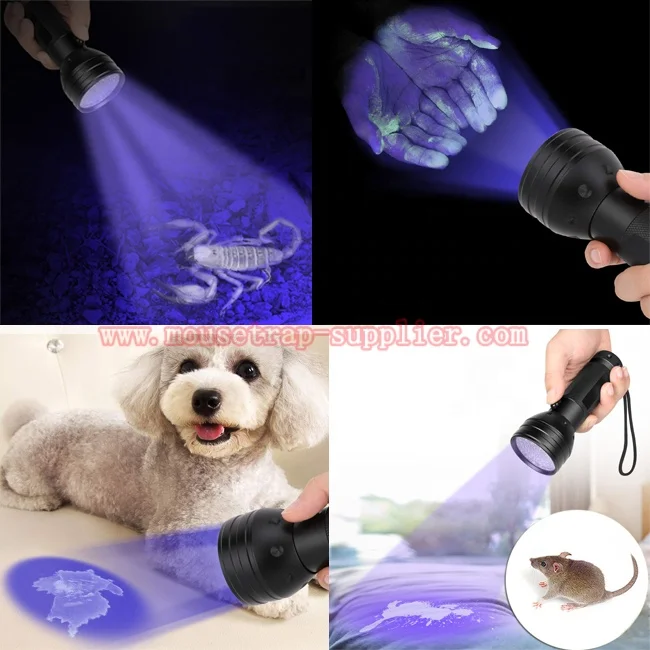 Reusable UV Detector to Check Pet Scorpions LED Flashlight Harmful Rodent Tracker