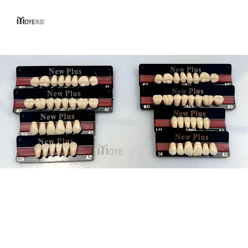 SND dental производитель задние нижние зубы из акриловой смолы двухслойные синтетические полимерные