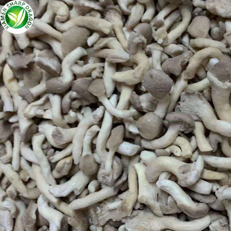 Frozen IQF White Pearl Grey brown phoenix Oyster logs Fungi P Pleurotus Ostreatus Mushroom Sliced Winter elm Cultivating Freeze