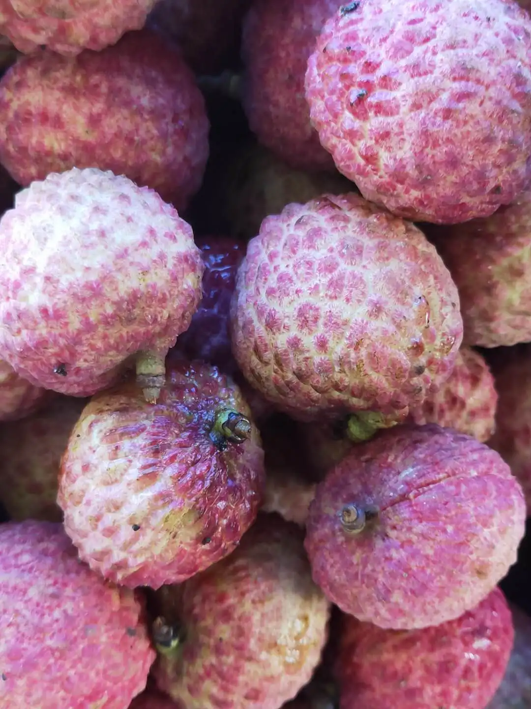
Fresh Lychee for saling 