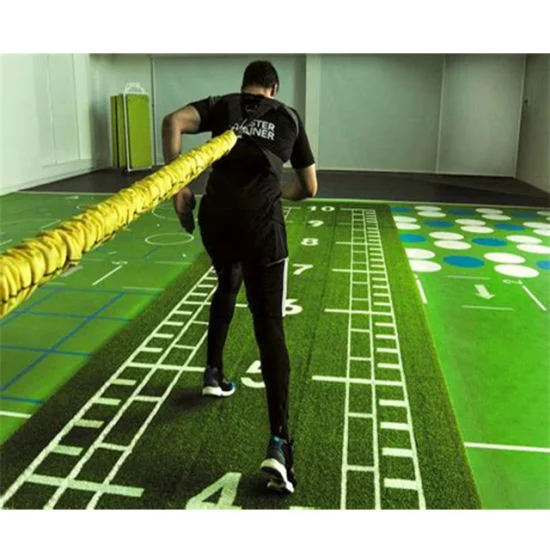 Dorelom Fitness Commercial Gym Use Floor Black Green Blue Custom Flooring Grass Turf Artificial Turf Grass Mat