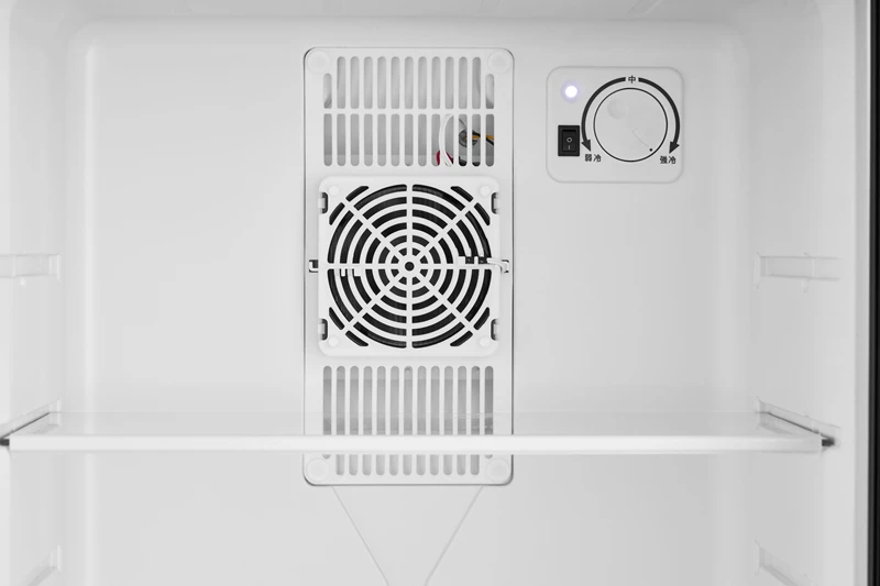 FSE Best Selling Hotel Small Refrigerator 30L Mini Fridge Bar Refrigerators