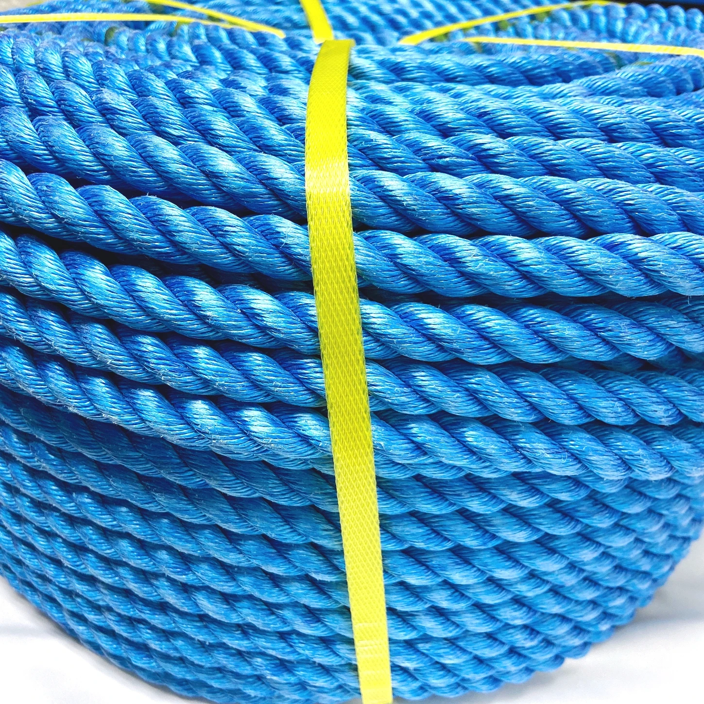 Direct Supply Acid-proof Rope Twisted PP Danline Rope Fishing Net Rope