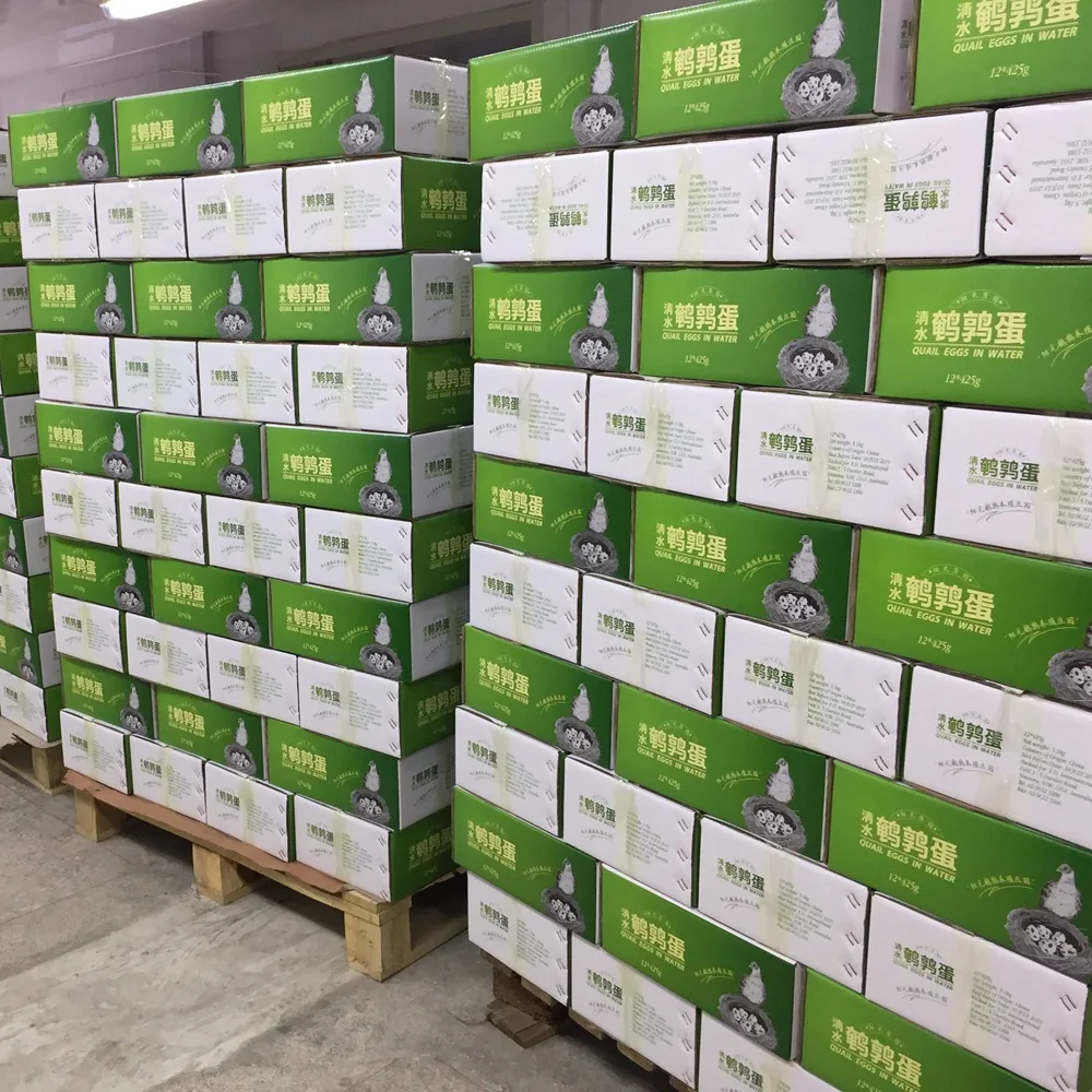 Quail egg feeding factory supply canned food of 425g 850g 3kg salted quail eggs canned quail egg in brine water export for sale