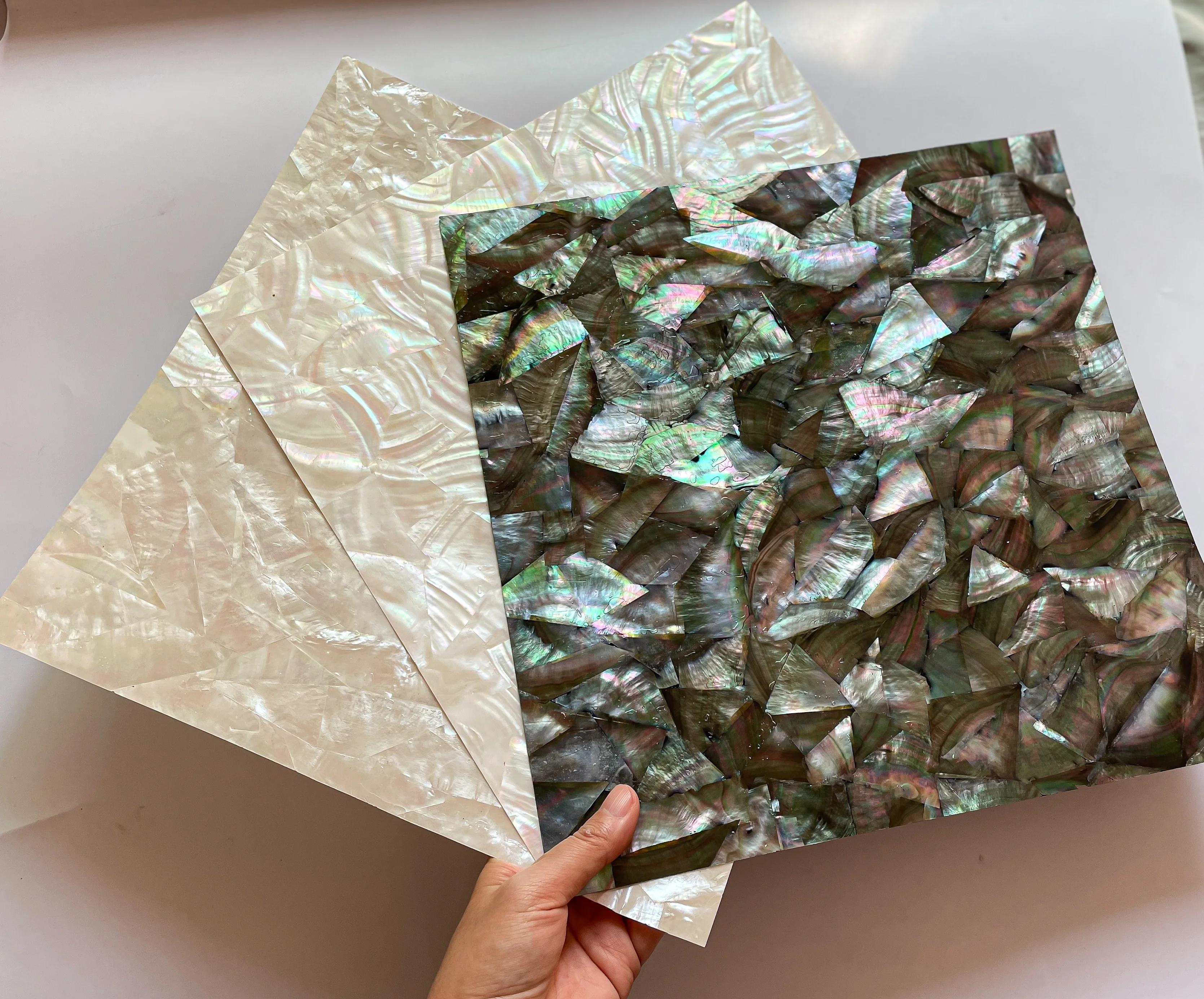 Factory directly supply natural sea shell  black/white Mother Of Pearl shell sheet  with white /black backing for home decor